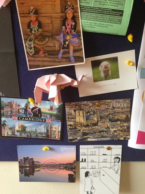 Postcards and origami from friends on my noticeboard
